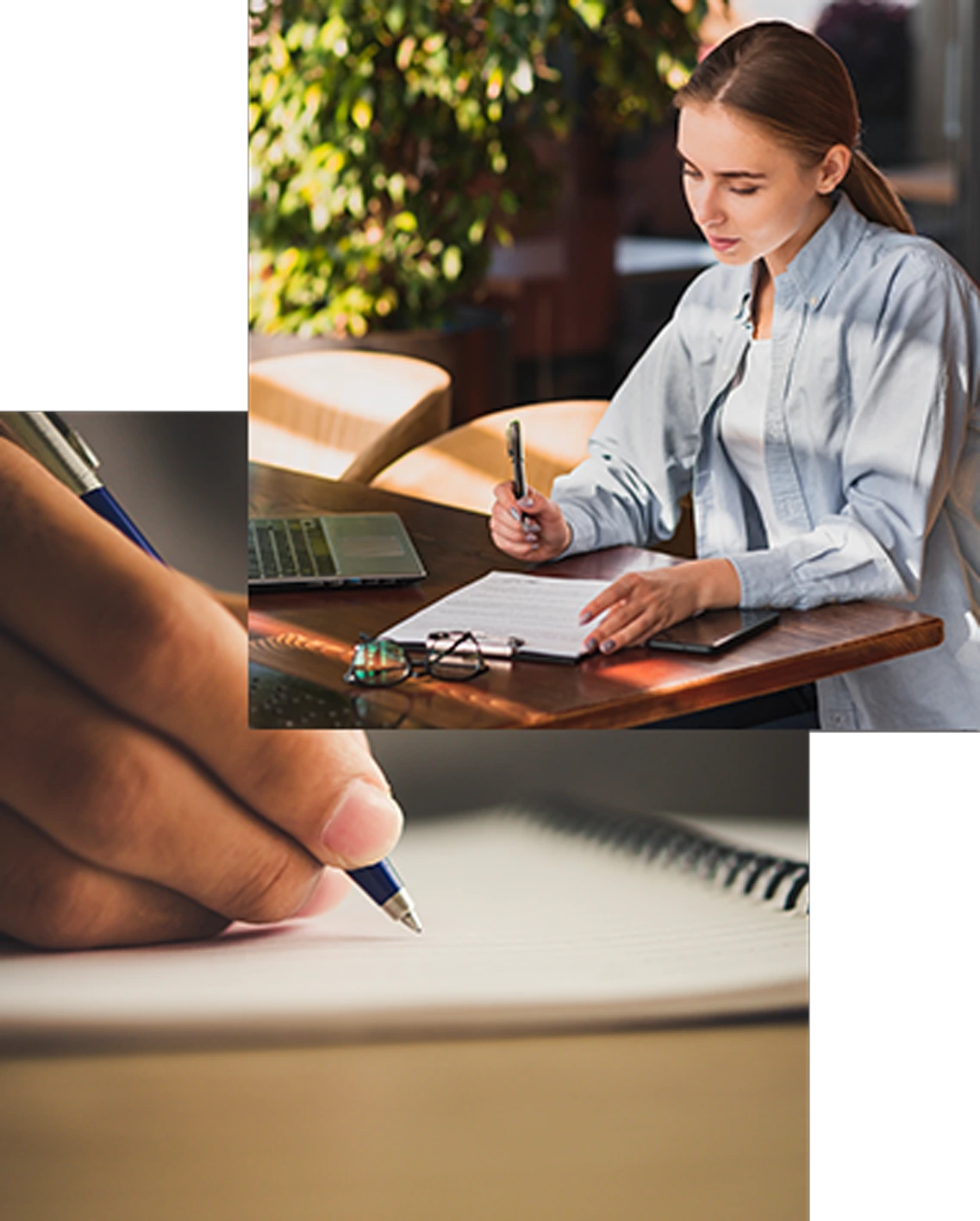 Book Writing Services